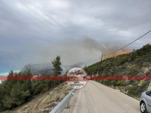 Συνελήφθη 60χρονος για την χθεσινή φωτιά στη Λευκάδα
