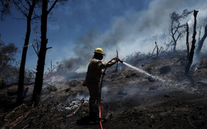 Μεγάλη φωτιά στο Δίστομο