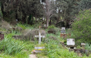 Φρίκη! Σπασμένοι τάφοι και οστά ανθρώπων σε κοινή θέα