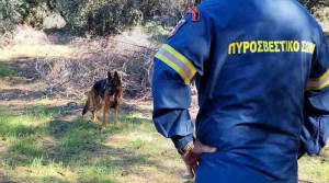 Αγνοείται ηλικιωμένη στη Λούτσα Πρέβεζας