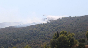 Ζάκυνθος: Σε δύσβατη περιοχή η φωτιά στου Καταλούπου - Επιχειρούν εναέρια μέσα (φωτό-βίντεο)