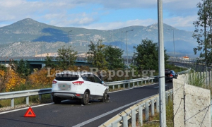 Σκύλος προκάλεσε τροχαίο ατύχημα στην είσοδο της Λαμίας - Δείτε βίντεο