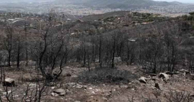 Έσβησαν οι φωτιές στην Αττική – Ξέσπασε πολιτική αντιπαράθεση