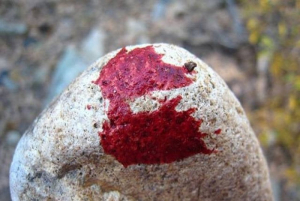 Φάρσαλα: «Παιχνίδι» νεαρών με πέτρες σε οχήματα παραλίγο να τραυματίσει αστυνομικό και την κόρη του