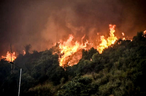 Φωτιά στην Πρέβεζα: Ανεξέλεγκτο το μέτωπο, συνεχείς εκκενώσεις οικισμών