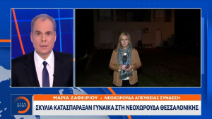 Φρίκη στη Θεσσαλονίκη: Τρία σκυλιά κατασπάραξαν γυναίκα στην αυλή του σπιτιού της (video)