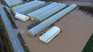 Υποχρεωτική ασφάλιση για φυσικές καταστροφές: Ποιες επιχειρήσεις αφορά