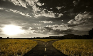 Ο αληθινός πλούτος...