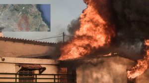 Εκπρόσωπος Πυροσβεστικής: Διάσπαρτες εστίες σε Γέρακα, Ανθούσα, Παλλήνη και Διώνη