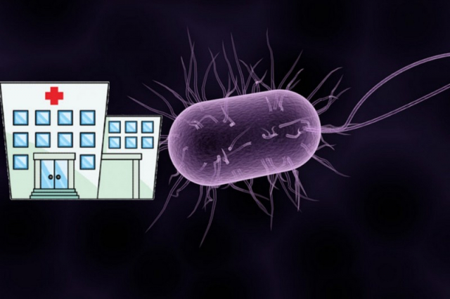 Συναγερμός για το μικρόβιο Candida Auris - Εντοπίστηκε και στον Ευαγγελισμό