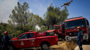Φωτιά τώρα στη Ζάκυνθο - Κινητοποιήθηκαν 26 πυροσβέστες και εναέρια μέσα