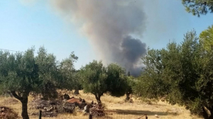Μεγάλη φωτιά στη Μάνδρα - Εκκένωση δύο οικισμών