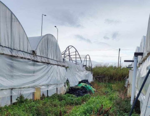 Ζημιές σε θερμοκήπια της Πρέβεζας από τις ισχυρές ριπές των ανέμων