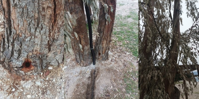 Δήμος Μεγανησίου: Έκνομες ενέργειες στην παραλία "Φανάρι"