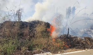 Φωτιά στην Άρτα, στην περιοχή Καλαμιά