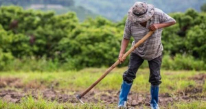Έρευνα διάρθρωσης γεωργικών και κτηνοτροφικών εκμεταλλεύσεων, έτους 2023