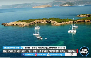 Νησίδα Φορμίκουλα – Με υπουργική “βούλα” το καταφύγιο της μεσογειακής φώκιας