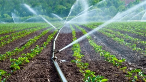 500.000 για συντήρηση και αποκατάσταση αρδευτικών υποδομών στην Ήπειρο