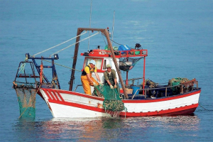 Σε κινητοποιήσεις προχωρούν οι αλιείς – Ποια είναι τα αιτήματά τους