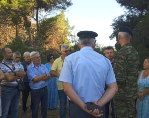Πρέβεζα: Ένταση για την υλοτομία των πεύκων στο αλσύλιο του Παντοκράτορα