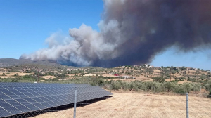 Εύβοια: Μεγάλη φωτιά, καίει κοντά σε σπίτια - Ήχησε το 112 (βίντεο)