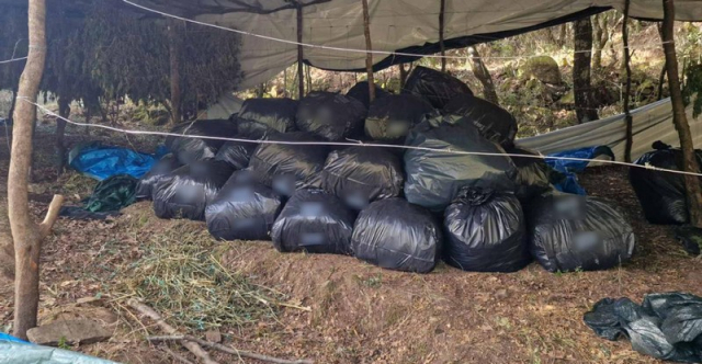 «Ξήλωσαν» καρτέλ ναρκωτικών - Kατέσχεσαν έναν τόνο χασίς αξίας 4 εκ. ευρώ