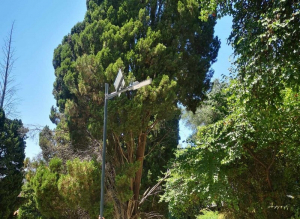 Eγκατάσταση ηλιακών φωτιστικών στο δήμο Πάργας