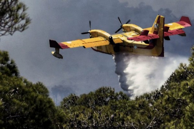 Πάνω από 200 στρέμματα καμένης γης στο Μονολίθι Πρέβεζας
