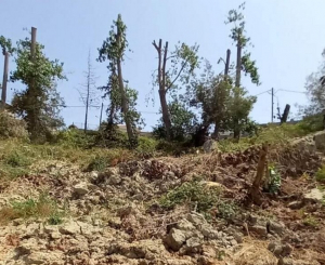 Πρέβεζα: Δρομολογείται η αντιμετώπιση της κατολίσθησης στο χώρο του αλιευτικού καταφυγίου Μύτικα