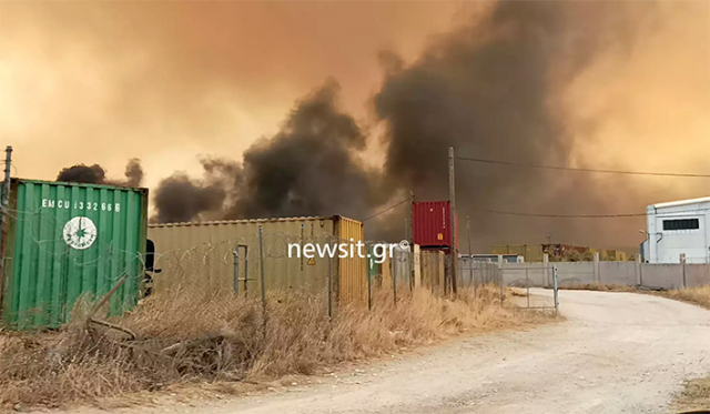 Ρομά έκαναν πλιάτσικο σε εργοστάσιο που είχε εκκενωθεί λόγω φωτιάς και τραυμάτισαν αστυνομικούς που πήγαν να τους εμποδίσουν!