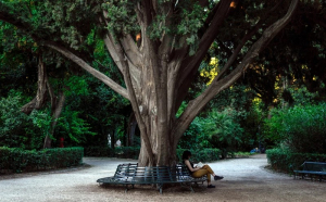 Τέλος τα πιστοποιητικά εμβολιασμού και νόσησης από την 1η Μαΐου