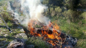 Απαγόρευση καύσης σε όλες τις Περιφερειακές Ενότητες των Ιονίων Νήσων