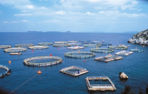 Συσπείρωση 41 φορέων κατά της ΠΟΑΥ στον Αμβρακικό