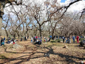 Καθαρά Δευτέρα στο βελανιδοδάσος του Φαγιά στην Πλαγιά