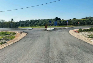 «Φεύγουν» 176 υπεραιωνόβια ελαιόδεντρα για να συνεχιστεί η παράκαμψη Νικόπολης