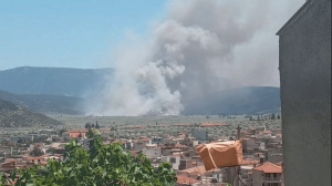 Σε δύο μέτωπα καίει η πυρκαγιά στην Άμφισσα