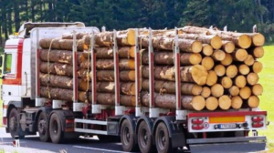Κέρκυρα: Μετέφερε 18,5 τόνους ξυλεία χωρίς άδεια με το φορτηγό του