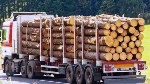 Κέρκυρα: Μετέφερε 18,5 τόνους ξυλεία χωρίς άδεια με το φορτηγό του
