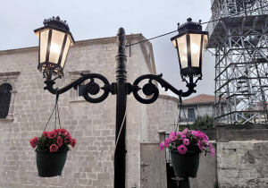 Γέμισε λουλούδια η κεντρική αγορά χορηγία του δημάρχου