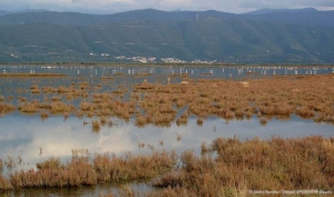 Μαθητές έκαναν μετρήσεις στα νερά του Αμβρακικού - Ανησυχητικά ευρήματα