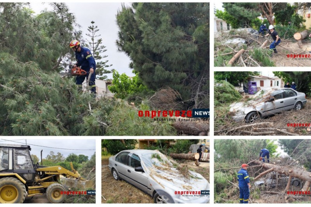 Πτώση δέντρου στην Πρέβεζα – Προκάλεσε σοβαρές ζημιές σε σταθμευμένο Ι.Χ (video-φωτο)