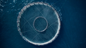 Η ΕΛΟΠΥ χορηγός στο Συμπόσιο Έρευνας Θαλάσσιων &amp; Εσωτερικών Υδάτων 2022