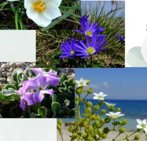 Μαθήματα Βοτανικής στη Λευκάδα
