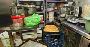 Χαλασμένα μπιφτέκια, βρώμικοι πάγκοι, άθλιες συνθήκες - Κατασχέθηκαν 12 τόνοι ακατάλληλων προϊόντων, δείτε φωτογραφίες