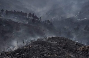 Η Ρόδος εάλω! 55.000 στρέμματα κάηκαν μέχρι το Σάββατο!