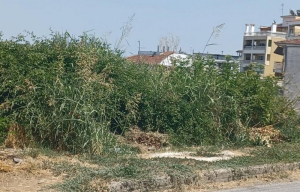 Δήμος Λευκάδας: Ενημέρωση για ακαθάριστα οικόπεδα